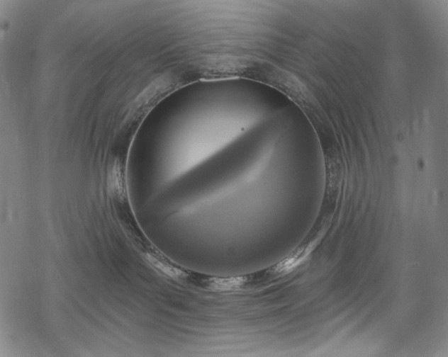 X0000068740143200605051501