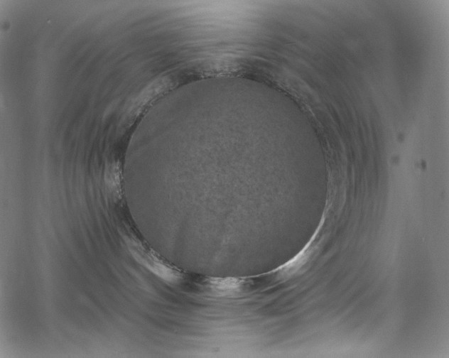 X0000068740144200605051501