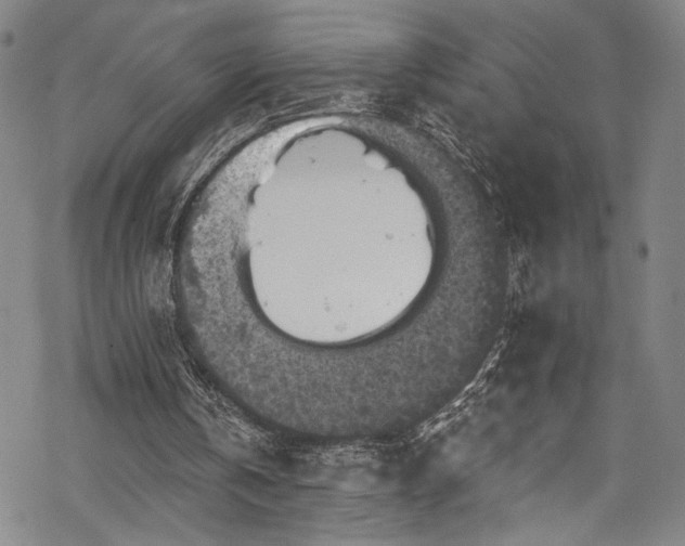 X0000068740146200605051500