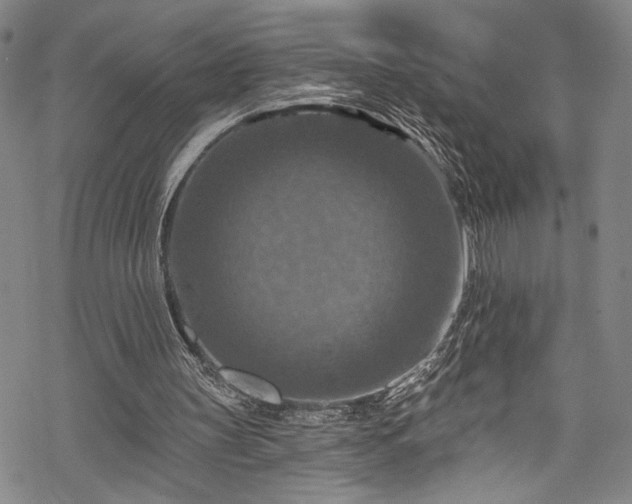 X0000068740147200605051500