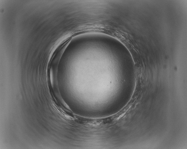 X0000068740148200605051500