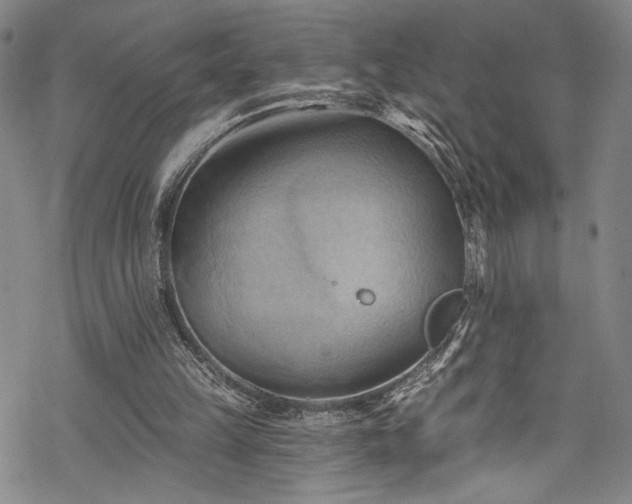 X0000068740149200605051500