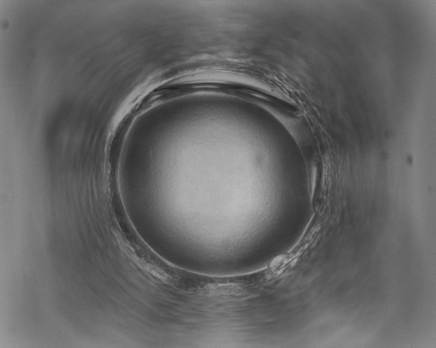 X0000068740150200605051500