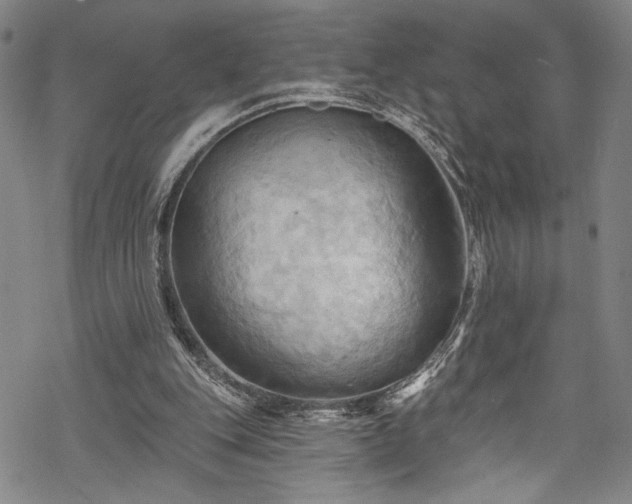 X0000068740151200605051500