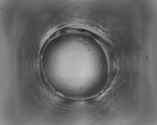 X0000068740152200605051500