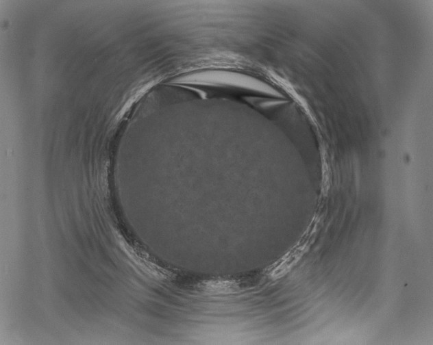 X0000068740154200605051500