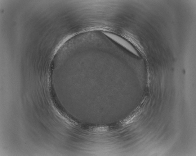 X0000068740156200605051500