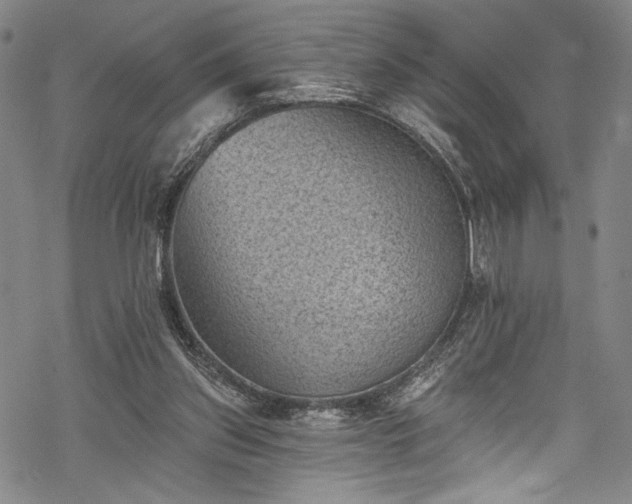 X0000068740157200605051500