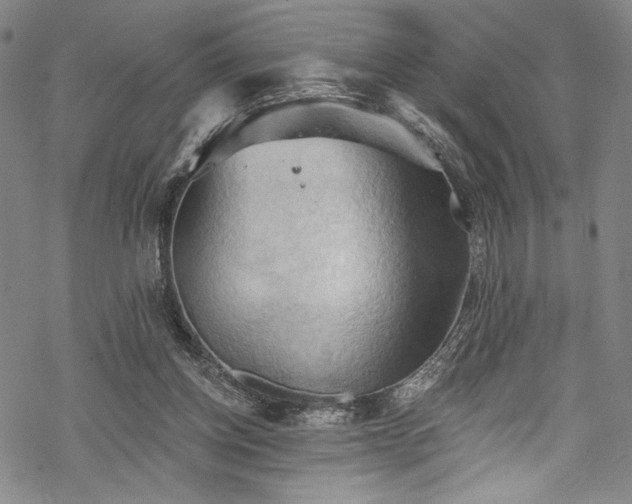 X0000068740158200605051500