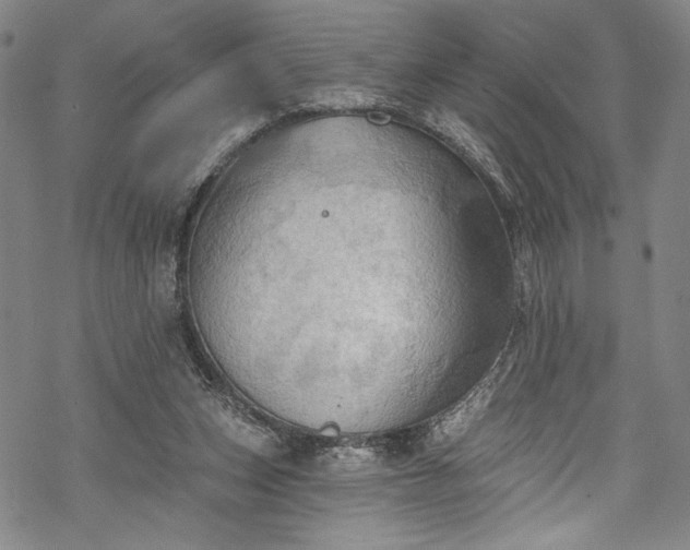 X0000068740159200605051500