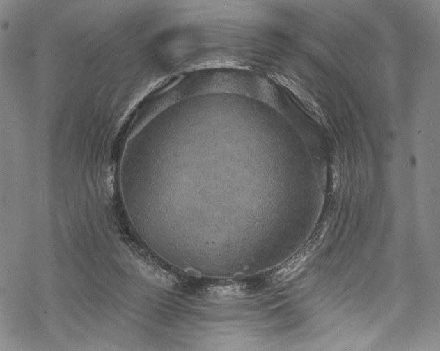 X0000068740160200605051500