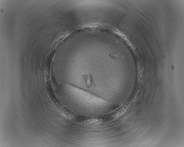 X0000068740161200605051500