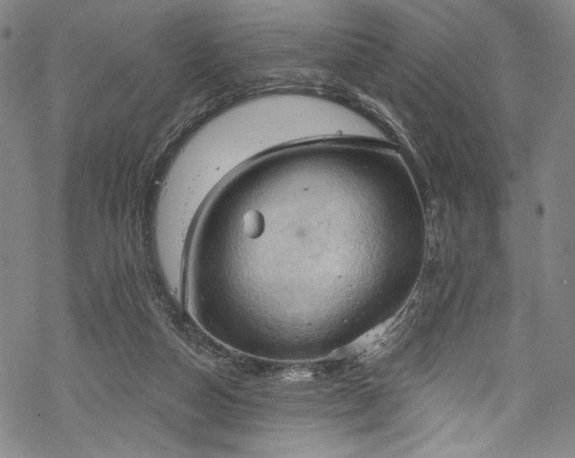 X0000068740162200605051500