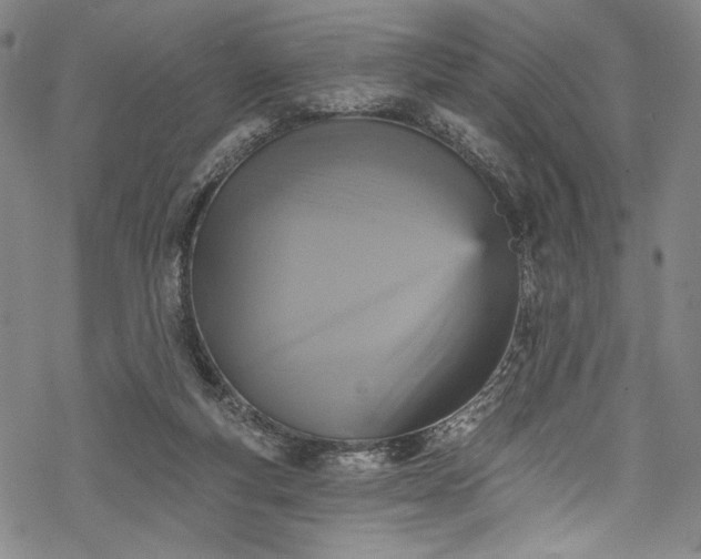 X0000068740163200605051500