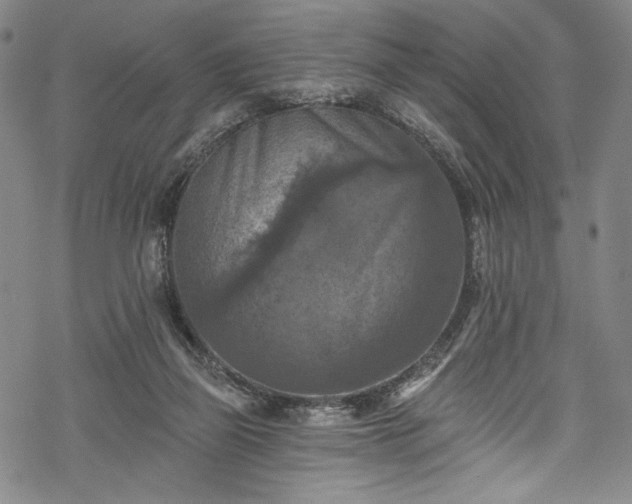 X0000068740165200605051500