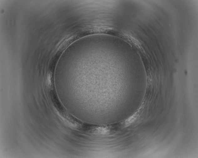 X0000068740166200605051500