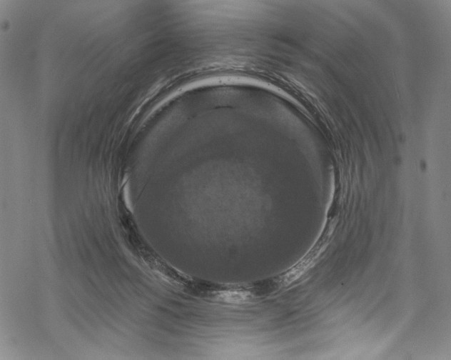 X0000068740168200605051500