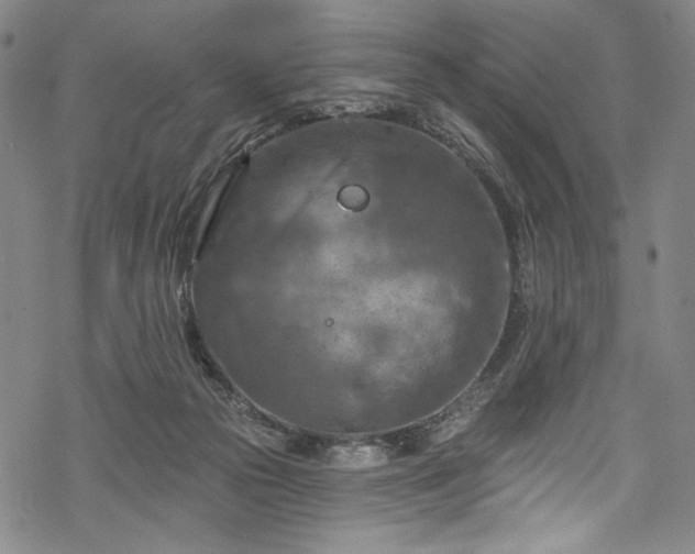 X0000068740169200605051500