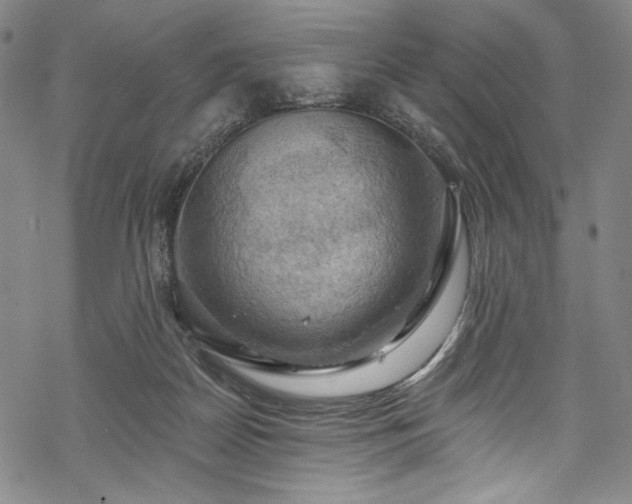 X0000068740170200605051500