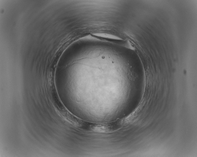 X0000068740171200605051500