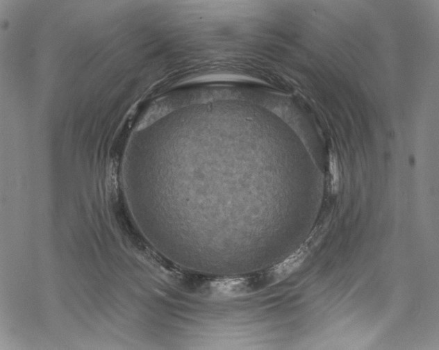 X0000068740172200605051500