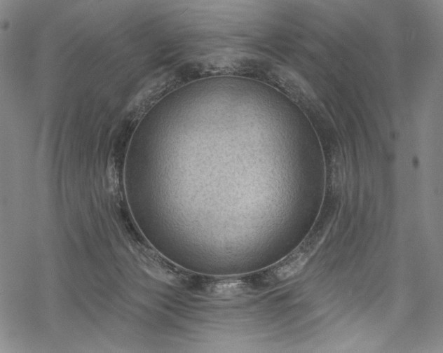 X0000068740173200605051500