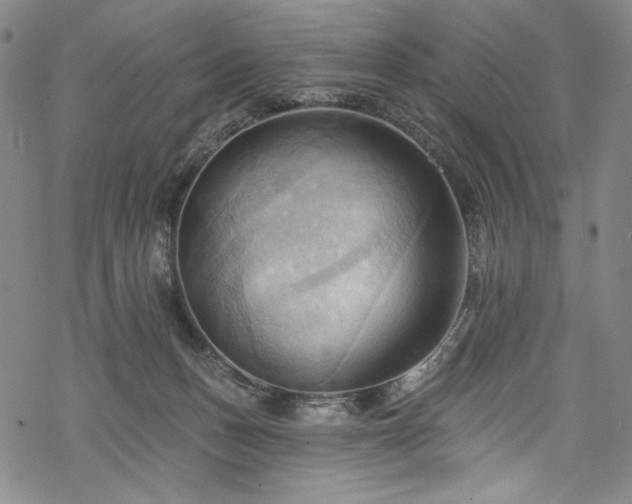 X0000068740175200605051500