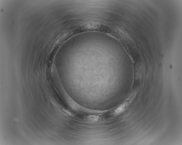 X0000068740176200605051500