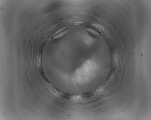 X0000068740177200605051500