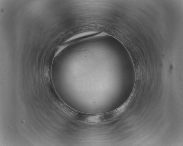 X0000068740178200605051500