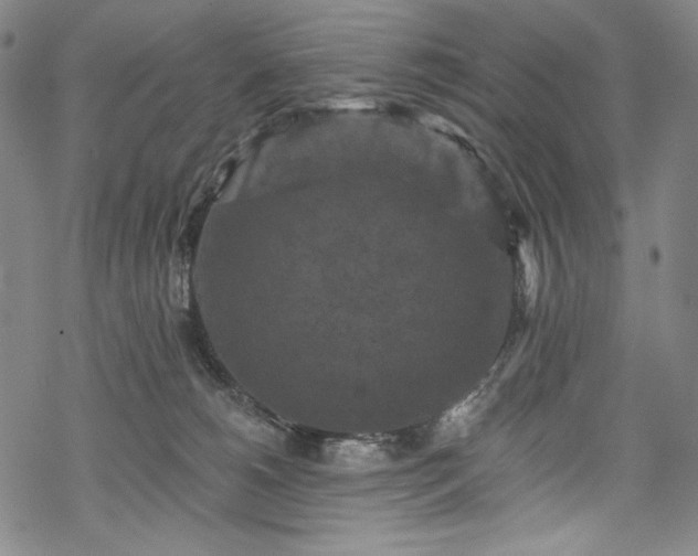 X0000068740180200605051500