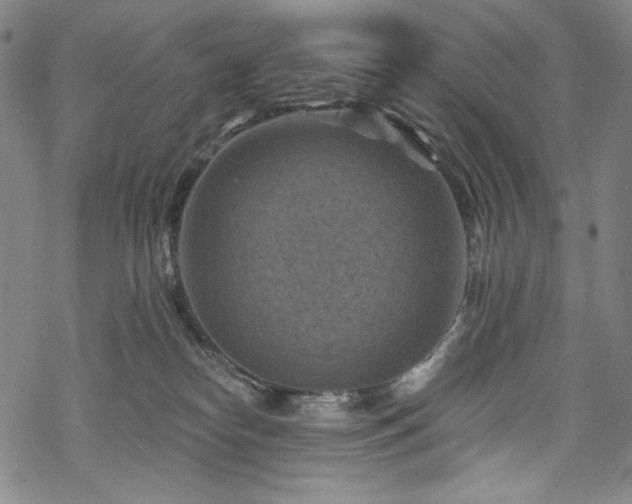 X0000068740182200605051500