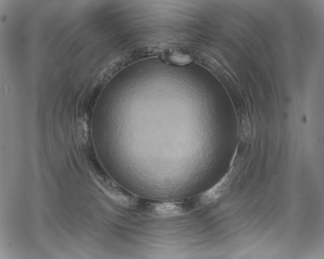 X0000068740183200605051500