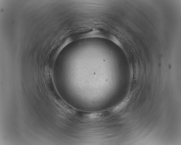 X0000068740184200605051500