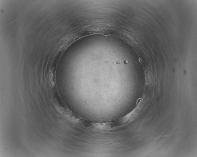 X0000068740187200605051500