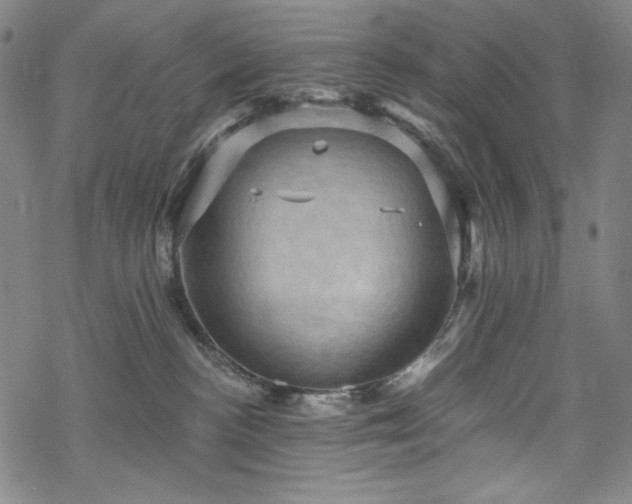 X0000068740188200605051500