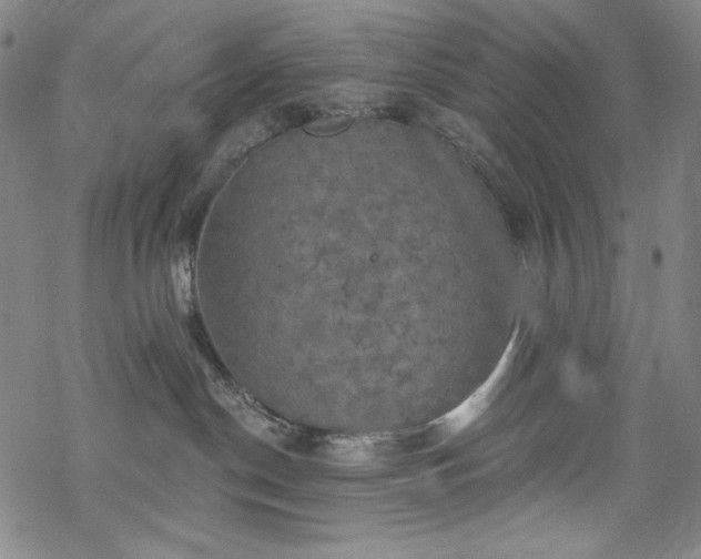 X0000068740190200605051501