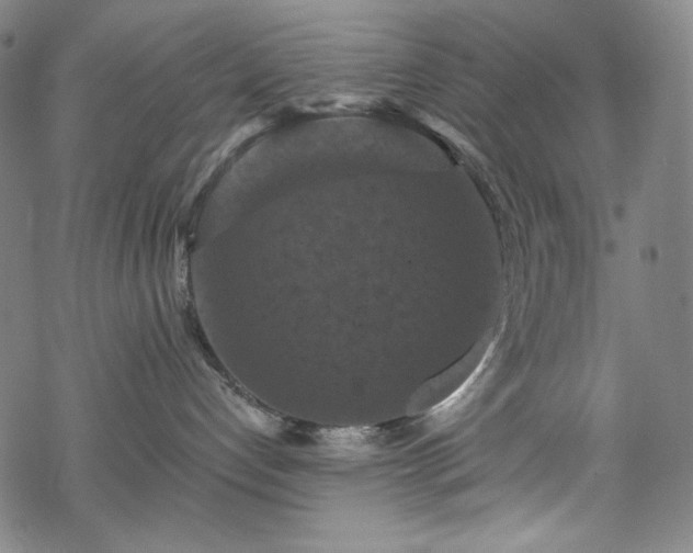 X0000068740192200605051501