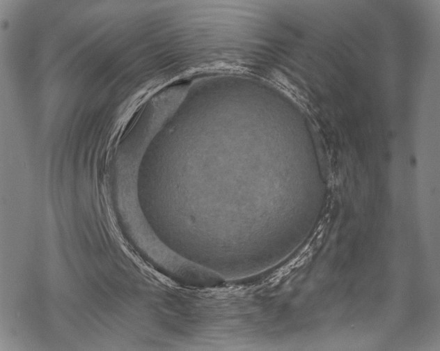 X0000068740193200605051500