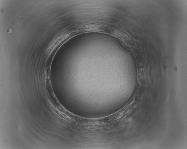 X0000068740194200605051500