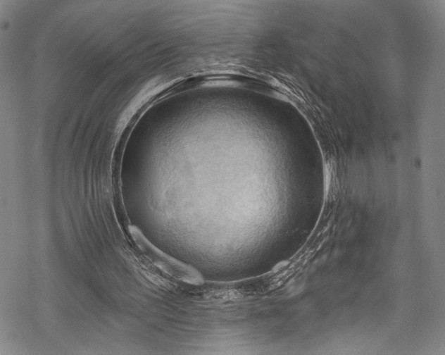 X0000068740195200605051500