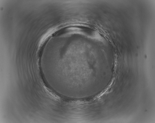 X0000068740197200605051500