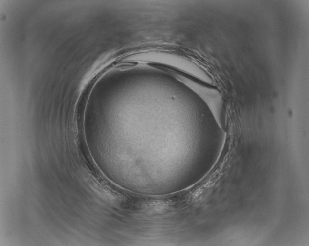 X0000068740198200605051500