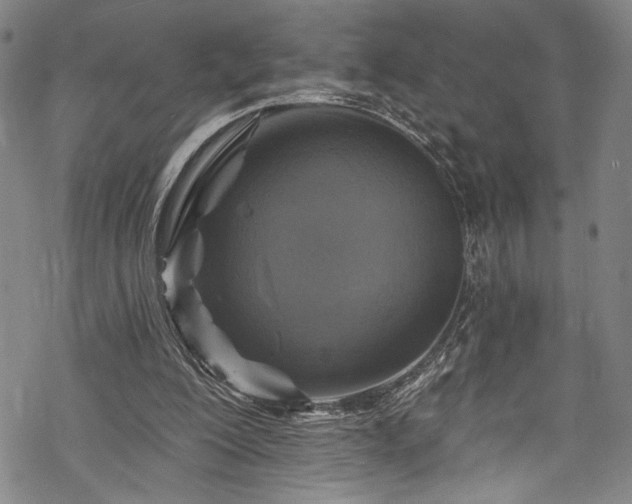 X0000068740200200605051500