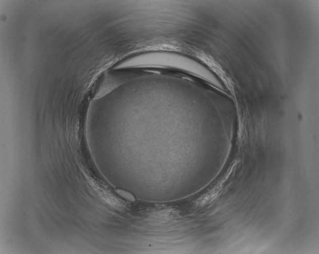 X0000068740201200605051500