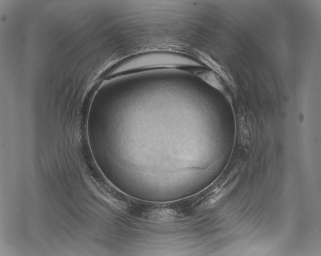 X0000068740203200605051500