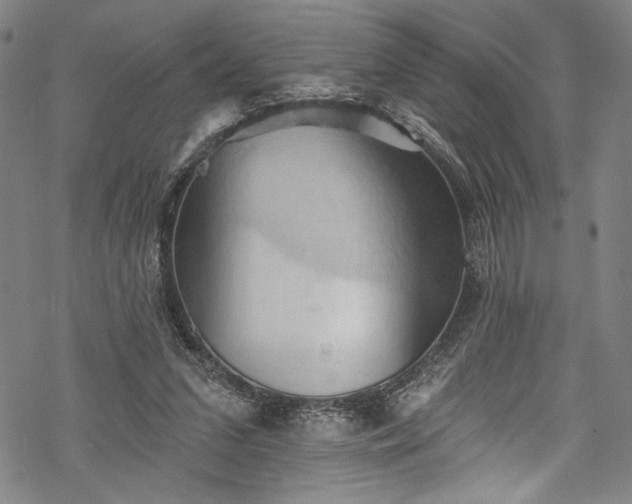 X0000068740207200605051500