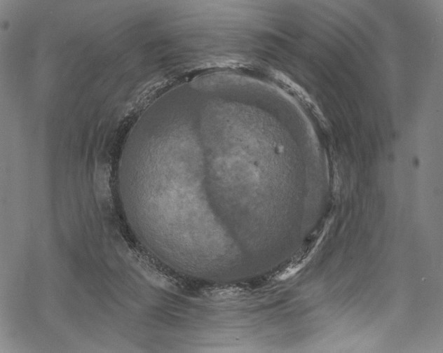 X0000068740209200605051500