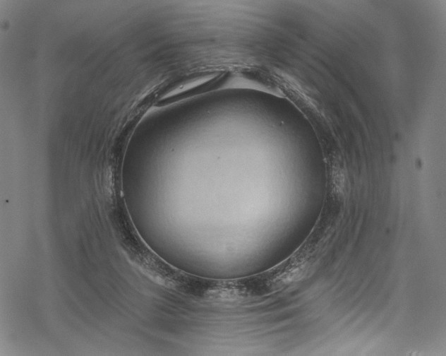 X0000068740211200605051459