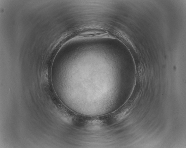 X0000068740212200605051459